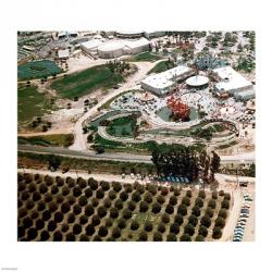 Disneyland and Orange Groves, 1955 | Obraz na stenu