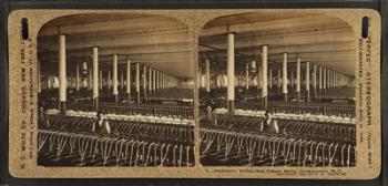 Slubbers, White Oak Cotton Mills. Greensboro, N.C | Obraz na stenu