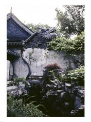 Garden with Dragon on Temple Wall Shanghai, China | Obraz na stenu