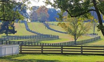 Stacked Split-Rail Fences in Appomattox, Virginia | Obraz na stenu