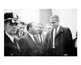 Martin Luther King and Malcolm X | Obraz na stenu