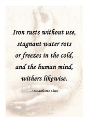 Iron Rusts Without Use -Da Vinci Quote | Obraz na stenu
