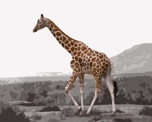 Pop of Color Lone Giraffe | Obraz na stenu