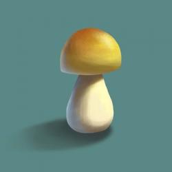 Mushroom on Teal Background Part II | Obraz na stenu