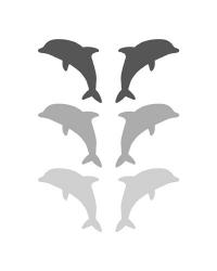 Leaping Dolphins - Gray | Obraz na stenu