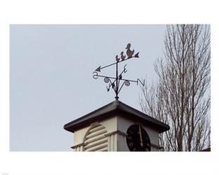 Weathervane on Damerham Village Hall | Obraz na stenu