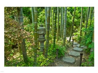 Hasedera-Bamboo Grove | Obraz na stenu