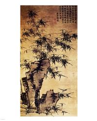 Xia Chang-Bamboo and Stone | Obraz na stenu