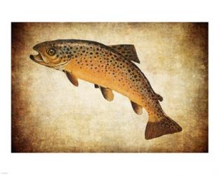 Brown Trout | Obraz na stenu