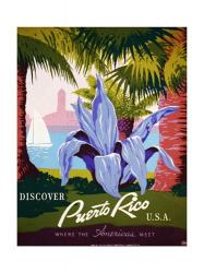 Discover Puerto Rico | Obraz na stenu