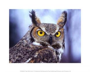 Owl With Horns | Obraz na stenu