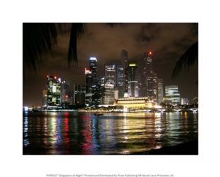 Singapore at Night | Obraz na stenu