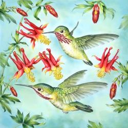 Calliopes Hummingbirds | Obraz na stenu