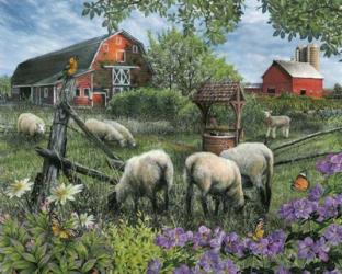Pleasant Valley Sheep Farm | Obraz na stenu