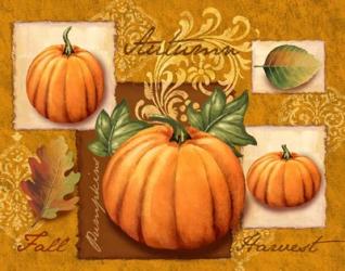 Harvest Pumpkins | Obraz na stenu