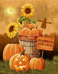 Pumpkins for Sale | Obraz na stenu