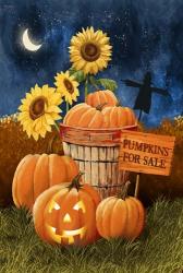 Pumpkins For Sale - Night Sky | Obraz na stenu