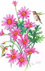 Hummingbirds And Daisies | Obraz na stenu