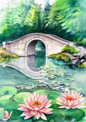 Waterlily Garden | Obraz na stenu