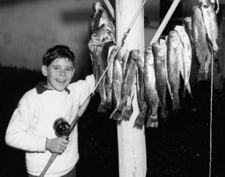 1950s Smiling Boy | Obraz na stenu