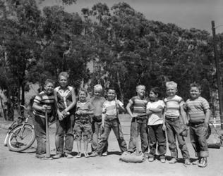 1950s Lineup Of 9 Boys In Tee Shirts With Bats | Obraz na stenu