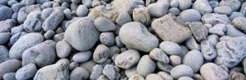 Beach Rocks Acadia National Park | Obraz na stenu