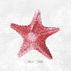 Red Starfish | Obraz na stenu