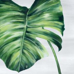 Tropical Leaf II | Obraz na stenu