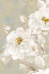 White Rose II | Obraz na stenu