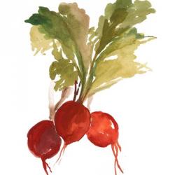 Radish | Obraz na stenu