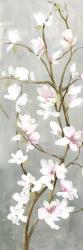 Budding Magnolia I | Obraz na stenu