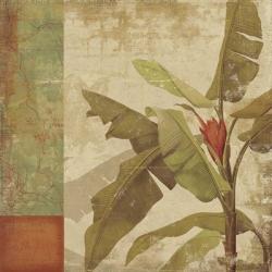 Planta | Obraz na stenu