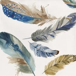 Feather Weather I | Obraz na stenu