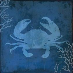 Navy Sea Crab | Obraz na stenu