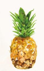 Pineapple I | Obraz na stenu
