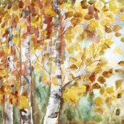 Watercolor Fall Aspens Square | Obraz na stenu