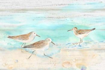 Sandpiper Beach Landscape | Obraz na stenu