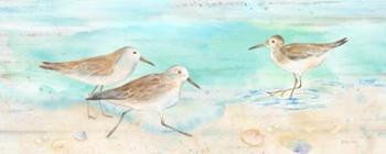 Sandpiper Beach Panel | Obraz na stenu