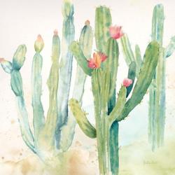 Cactus Garden II | Obraz na stenu