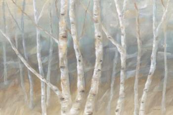 Silver Birch Landscape | Obraz na stenu