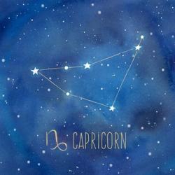 Star Sign Capricorn | Obraz na stenu