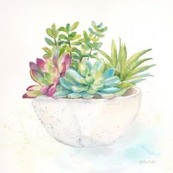 Sweet Succulent Pots II | Obraz na stenu