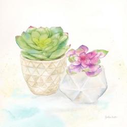 Sweet Succulent Pots III | Obraz na stenu