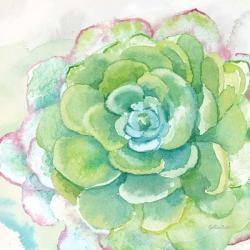 Sweet Succulents IV | Obraz na stenu