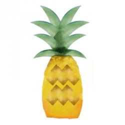 Tropical Icons Pineapple | Obraz na stenu