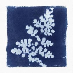 Flora Cyanotype I | Obraz na stenu