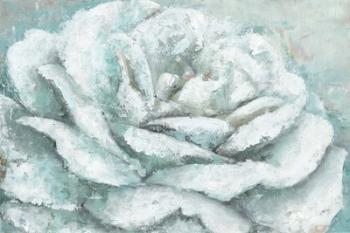 White Rose Splendor | Obraz na stenu