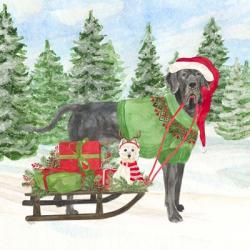 Dog Days of Christmas II Sled with Gifts | Obraz na stenu