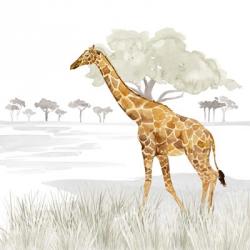 Serengeti Giraffe Square | Obraz na stenu