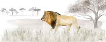 Serengeti Lion horizontal panel | Obraz na stenu